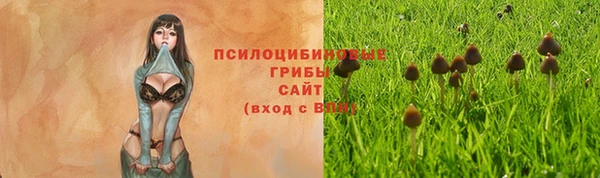 меф VHQ Бородино