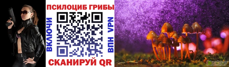 Псилоцибиновые грибы мицелий  купить наркотики сайты  Миньяр 